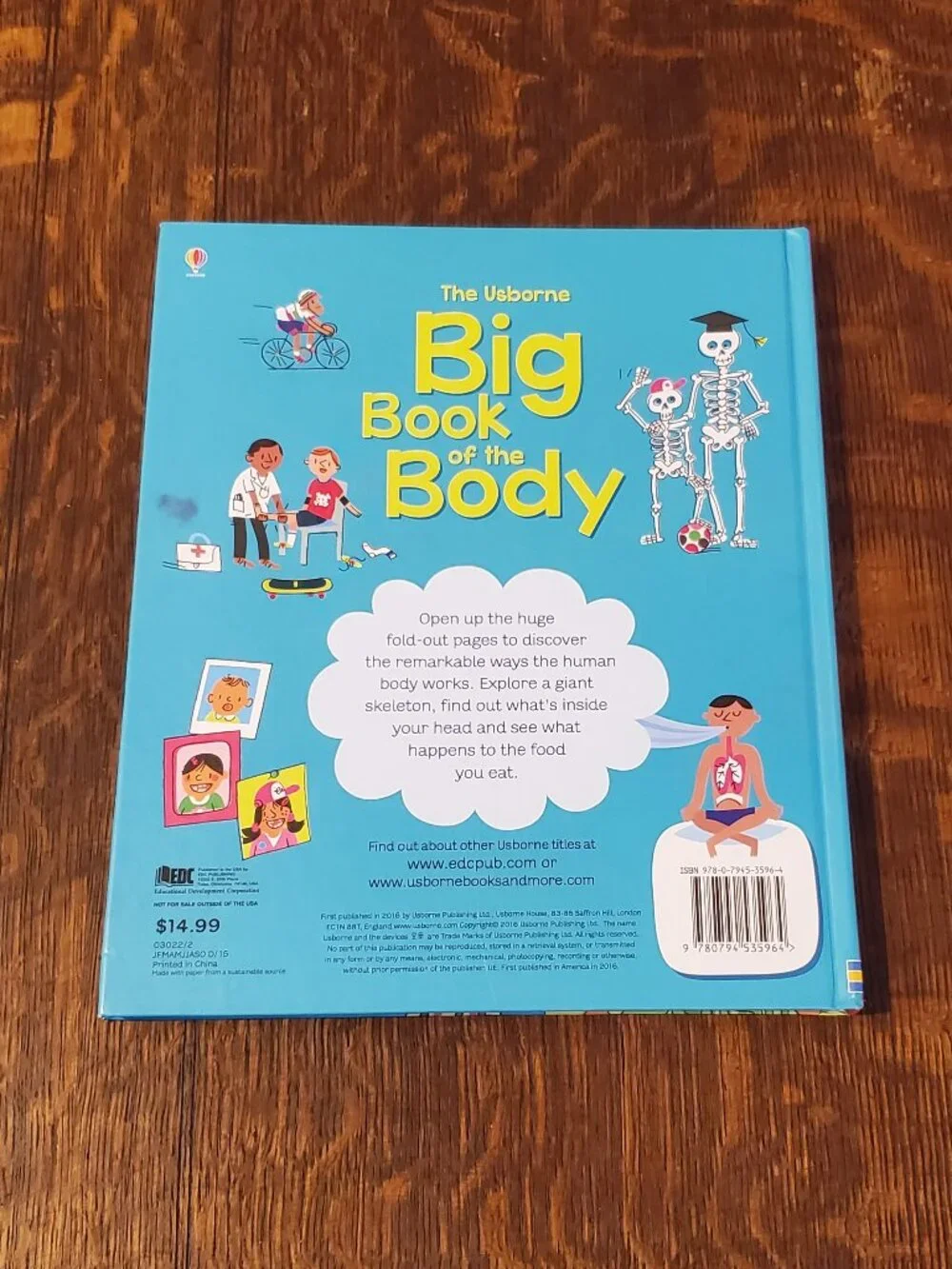 Usborne Big Book of the Body